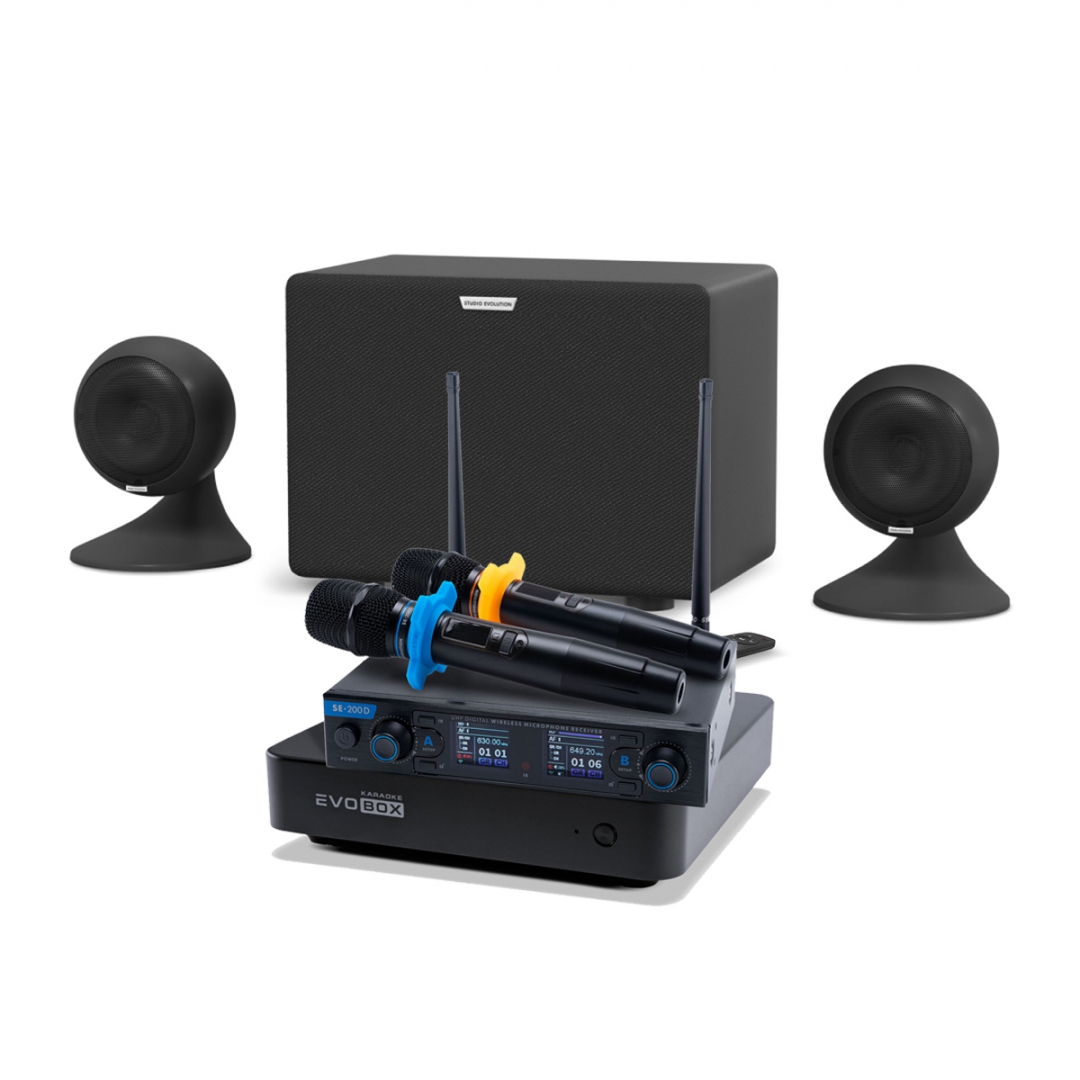 караоке-комплект EVOBOX + EvoSound Sphere 2.1 в Ялуторовске