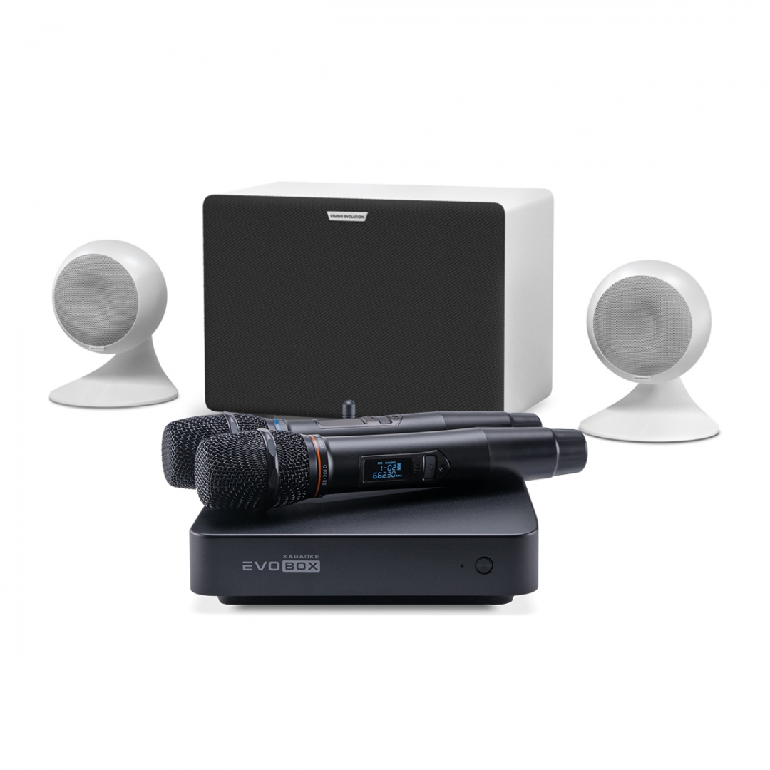 караоке-комплект EVOBOX Classic + EvoSound Sphere 2.1 в Ялуторовске
