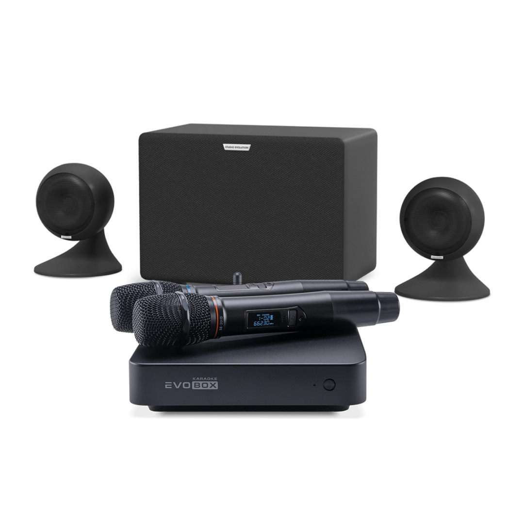 караоке-комплект EVOBOX Plus + EvoSound Sphere 2.1 в Ялуторовске