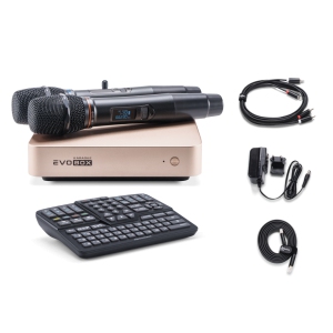 EVOBOX Classic караоке-система для дома в Ялуторовске