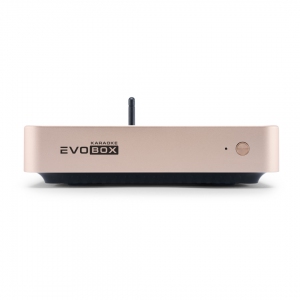 EVOBOX Plus караоке-система для дома в Ялуторовске