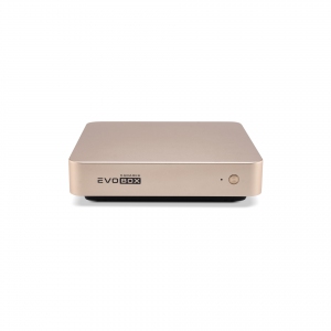 EVOBOX с микрофонами в Ялуторовске